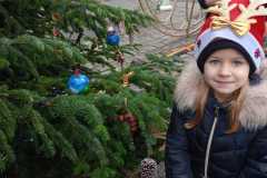 IMG-20251205-WA0017-1