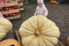 IMG_20251010_092125-1 IMG_20251010_092125-1