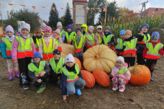 IMG_20251010_092435 IMG_20251010_092435