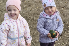 IMG_20251010_092716 IMG_20251010_092716