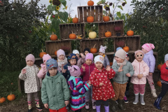 IMG_20251010_093019 IMG_20251010_093019