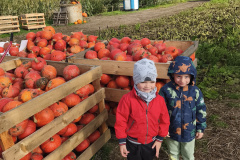 IMG_20251010_094215-1 IMG_20251010_094215-1