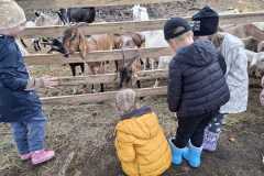 IMG-20261005-WA0005
