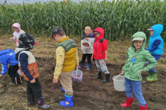 IMG_20250915_095603 IMG_20250915_095603