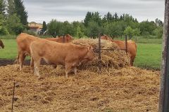 IMG_20250915_105444 IMG_20250915_105444